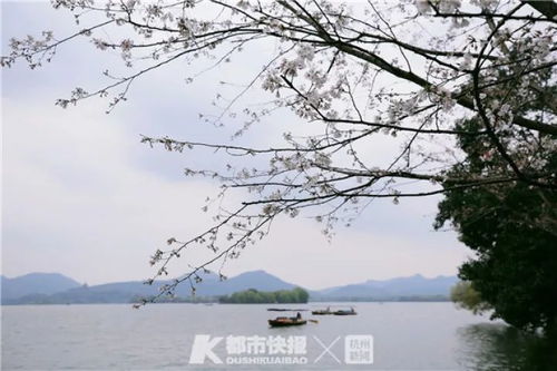 5月1日前,西湖边这些景点免费开放 需提前预约