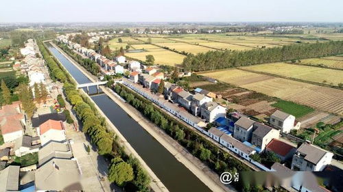 心动洪湖人！百元年卡畅游24景，无限次游览开启文旅新体验